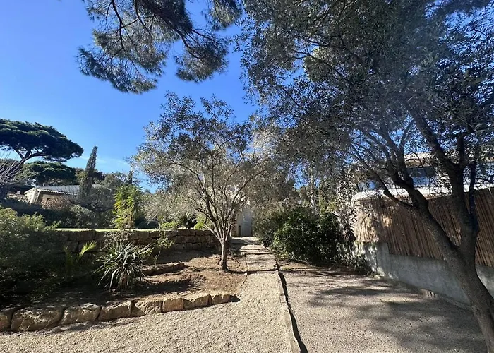 Contemporaine A Sainte-maxime, Piscine, Proche Plage, 8 Pers., 4 Etoiles - Fr-1-768-36 Villa *