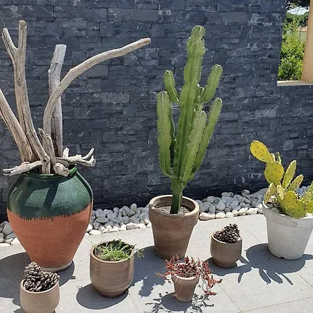 Villa Contemporaine à Sainte-maxime, Piscine, Proche Plage, 8 Pers., 4 étoiles - Fr-1-768-36 Sainte-Maxime