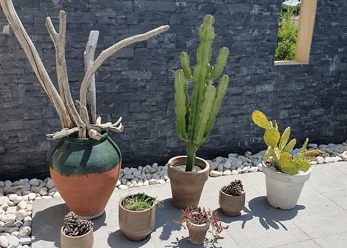 Villa Contemporaine A Sainte-maxime, Piscine, Proche Plage, 8 Pers., 4 Etoiles - Fr-1-768-36 Sainte-Maxime